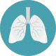 lungs
